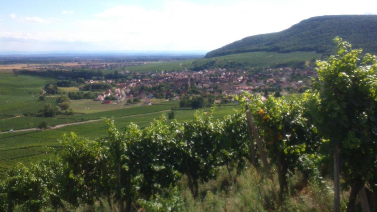 Gites & Chambes D'Hotes Fugler Orschwihr Kültér fotó